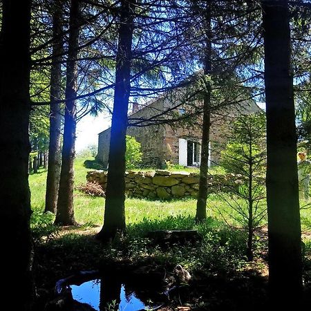 La Ferme Du Crie Bed & Breakfast Chaudeyrolles Екстериор снимка